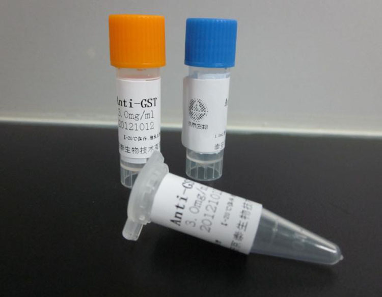 化工品國(guó)際貨代的報(bào)關(guān)流程